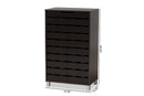 Micah Dark Brown 2-Door Shoe Storage Cabinet Baxton