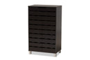 Micah Dark Brown 2-Door Shoe Storage Cabinet Baxton