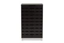 Micah Dark Brown 2-Door Shoe Storage Cabinet Baxton