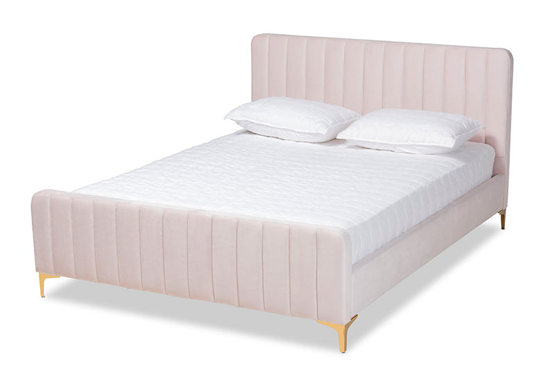 Lafoy Light Pink Velvet Fabric Gold Finished King Size Platform Bed Baxton