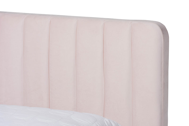 Lafoy Modern Contemporary Glam and Luxe Light Pink Velvet Fabric Upholstered and Gold Finished Full Size Platform Bed