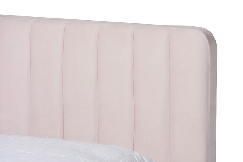 Lafoy Light Pink Velvet Fabric Gold Finished Full Size Platform Bed Baxton