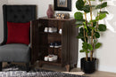 Raheem Walnut Brown 2-Door Shoe Storage Cabinet Baxton