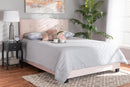 Deacon Glam Light Pink Velvet Fabric Upholstered Queen Size Panel Bed Baxton