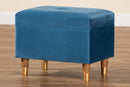 Raziel Sky Blue Velvet Fabric Upholstered and Oak Brown Storage Ottoman Baxton