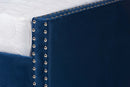 Andi Navy Blue Velvet Fabric Upholstered Queen Size Daybed w/Trundle Baxton