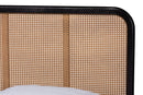 Millard Charcoal and Synthetic Rattan Queen Size Platform Bed Baxton