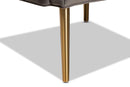 Sari Gray Velvet Fabric Upholstered and Gold Finished Metal Armchair Baxton