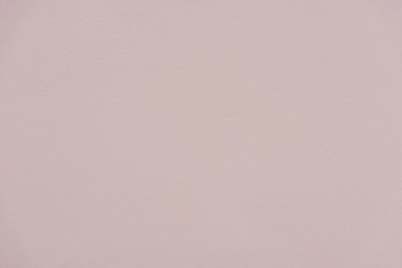 Laure Light Pink Velvet Fabric Upholstered Twin Size Daybed w/Trundle Baxton