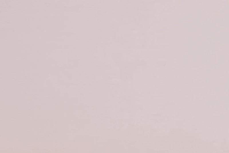 Laure Light Pink Velvet Fabric Upholstered Queen Size Daybed w/Trundle Baxton