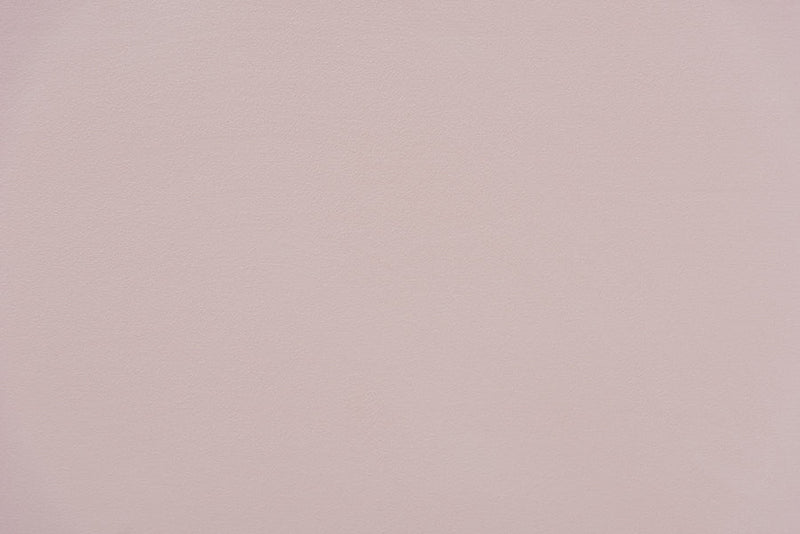 Laure Light Pink Velvet Fabric Upholstered Queen Size Daybed Baxton