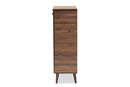 Naya Walnut Brown 2-Door Shoe Storage Cabinet Baxton