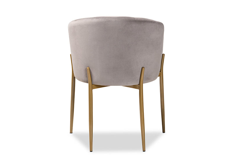 Theron Gray Velvet Fabric Upholstered and Gold Finished Metal Dining Chair Baxton
