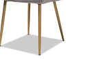 Alesha Gray Velvet Fabric Gold Finished Metal 2Pc Dining Chair Set Baxton