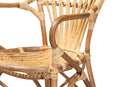 Dannell Natural Finished Rattan Dining Chair Baxton