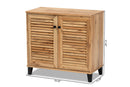 Theo Oak Brown 2-Door Shoe Storage Cabinet Baxton
