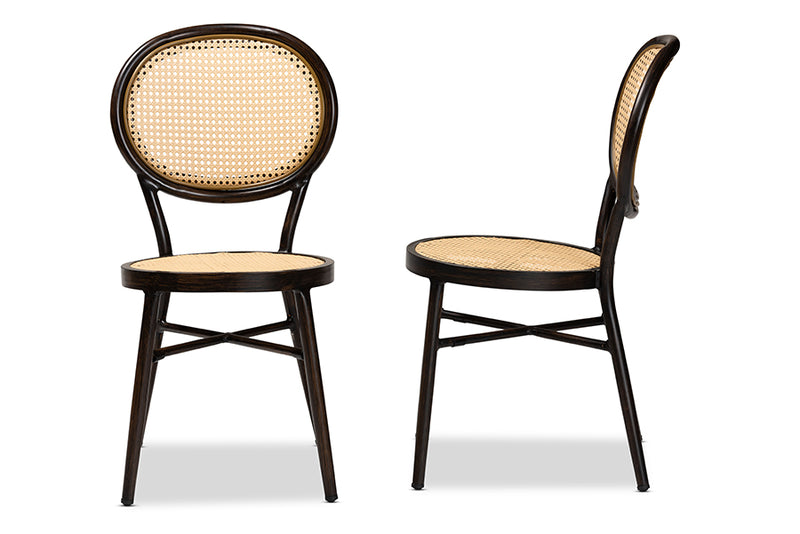 Noah Mid-Century Modern Dark Brown Finished Metal and Synthetic Rattan 2-Piece Dining Chair Set