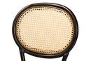 Noah Dark Brown Finished Metal and Synthetic Rattan 2Pc Dining Chair Set Baxton