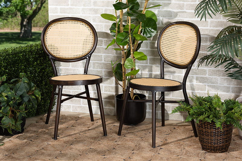 Noah Mid-Century Modern Dark Brown Finished Metal and Synthetic Rattan 2-Piece Dining Chair Set