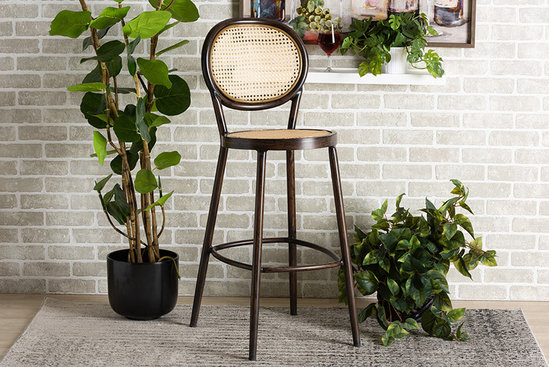 Noah Mid-Century Modern Dark Brown Finished Metal and Synthetic Rattan Outdoor Bar Stool