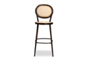 Noah Dark Brown Finished Metal and Synthetic Rattan Outdoor Bar Stool Baxton