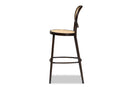 Noah Dark Brown Finished Metal and Synthetic Rattan Outdoor Bar Stool Baxton