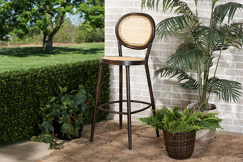 Noah Mid-Century Modern Dark Brown Finished Metal and Synthetic Rattan Outdoor Bar Stool