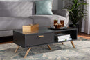 Yori Dark Gray and Gold Coffee Table Baxton
