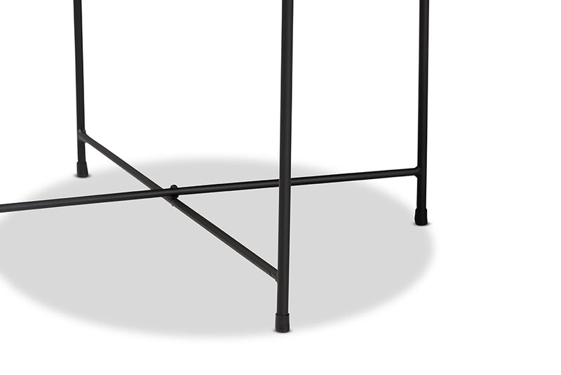 Casilda Modern and Contemporary Black Finished Metal Plant Stand