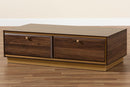 Davina Walnut Brown and Gold Metal 2-Drawer Coffee Table Baxton