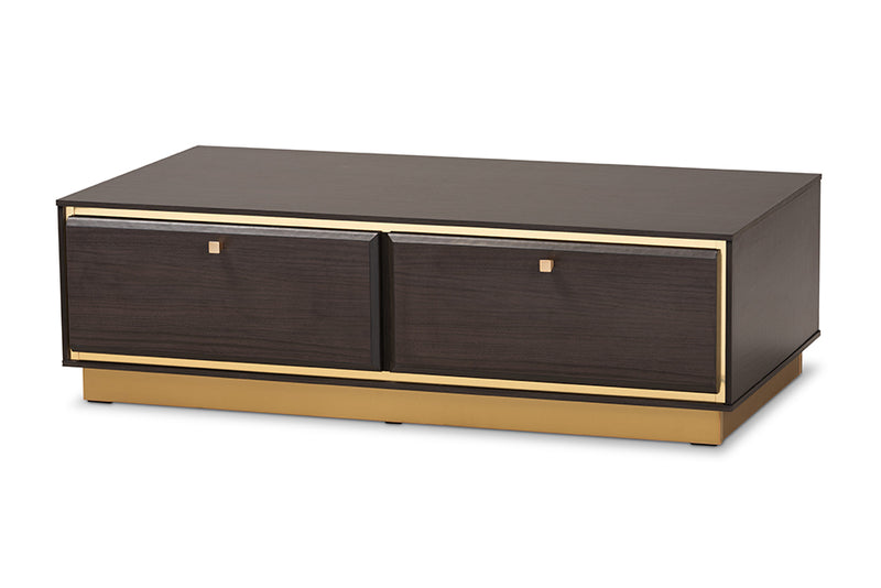 Davina Mid-Century Dark Brown Finished Wood and Gold Metal 2-Drawer Coffee Table