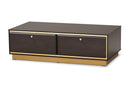 Davina Dark Brown and Gold Metal 2-Drawer Coffee Table Baxton