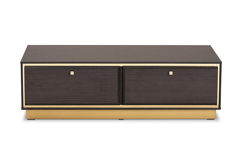 Davina Mid-Century Dark Brown Finished Wood and Gold Metal 2-Drawer Coffee Table