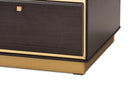Davina Dark Brown and Gold Metal 2-Drawer Coffee Table Baxton