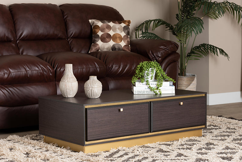 Davina Mid-Century Dark Brown Finished Wood and Gold Metal 2-Drawer Coffee Table