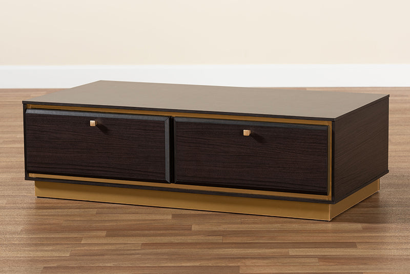 Davina Mid-Century Dark Brown Finished Wood and Gold Metal 2-Drawer Coffee Table