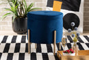 Desma Navy Blue Velvet Fabric Gold Finished Metal Storage Ottoman Baxton