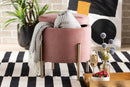 Desma Pink Velvet Fabric Upholstered and Gold Finished Metal Storage Ottoman Baxton