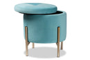 Desma Sky Blue Velvet Fabric Upholstered and Gold Finished Metal Storage Ottoman Baxton
