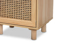 Ailith Rattan and Natural Brown 1-Door End Table Baxton