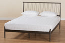 Verner Black Bronze Finished Metal Full Size Platform Bed Baxton