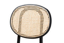 Daylan Brown Woven Rattan and Black Wood 2Pc Cane Dining Chair Set Baxton