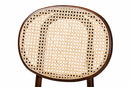 Daylan Brown Woven Rattan and Walnut Brown Wood 2Pc Cane Dining Chair Set Baxton