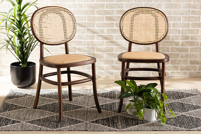 Daylan Mid-Century Modern Brown Woven Rattan and Walnut Brown Wood 2-Piece Cane Dining Chair Set