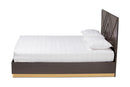 Anise Two-Tone Dark Brown and Gold Queen Size Platform Bed Baxton