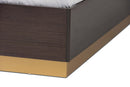 Anise Two-Tone Dark Brown and Gold Queen Size Platform Bed Baxton