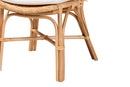 Santiago Natural Brown Finished Rattan Dining Chair Baxton