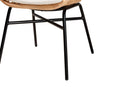 Basira Natural Brown Rattan and Black Metal Chair Baxton
