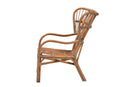 Melodie Modern Bohmenian Natural Brown Antique Rattan Armchair Baxton