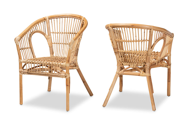 Dauphine Modern Bohemian Natural Brown Rattan 2-Piece Dining Chair Set